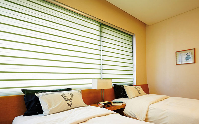 Luxdezine Window Blinds Combi Shades Bedroom Size Out