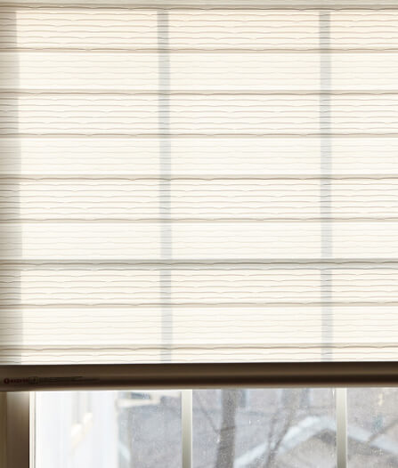 Luxdezine Window Blinds Combi Shades White Living Room Details