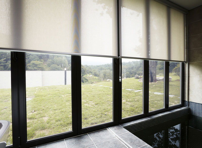 Luxdezine Window Blinds Roll Screen Indoor Pool Modern Side