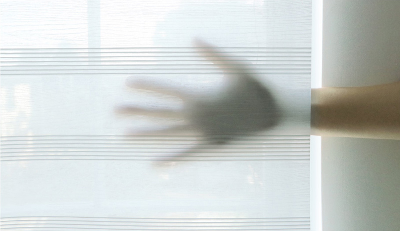 Luxdezine Window Blinds Roll Screen Shades White Shadow Hand