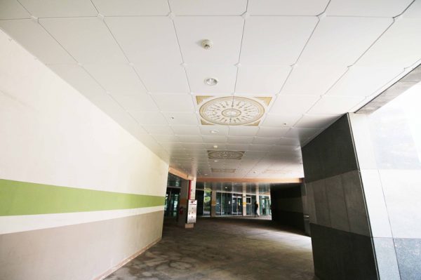 Ceiling-dmc-24