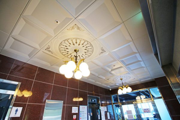 Ceiling-dmc-50