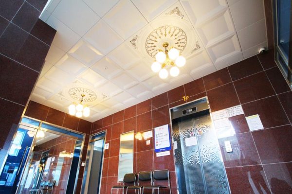Ceiling-dmc-51