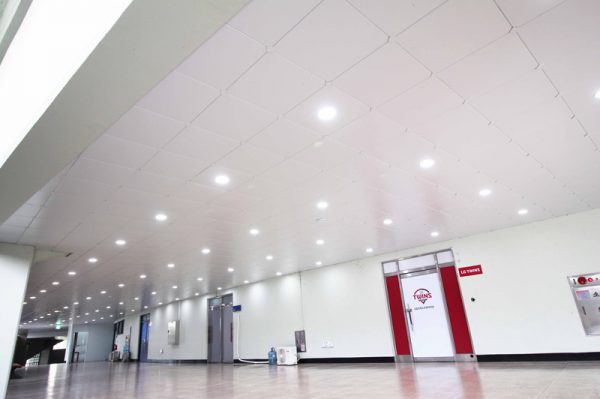 Ceiling-dmc-59