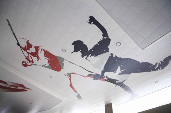 Ceiling-dmc-60
