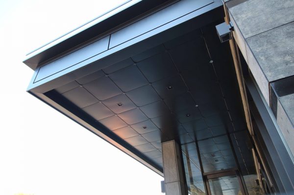 Ceiling-dmc-61