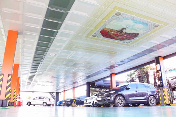 Ceiling-dmc-66