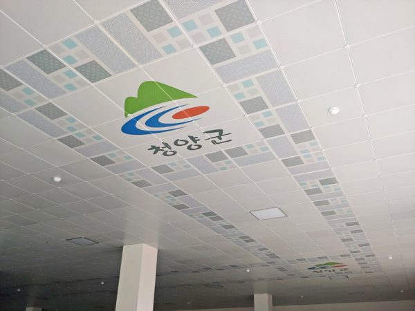 Ceiling-sdmc-04
