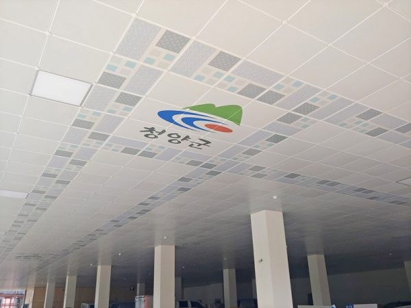 Ceiling-sdmc-05