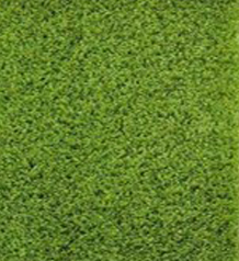 Luxdezine Artificial Grass Turf Actual