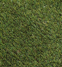 Luxdezine Artificial Grass Turf Bermuda Actual