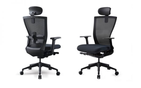 Luxdezine Black Ergonomic Office Chair