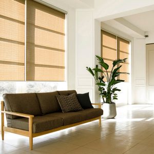 Luxdezine Blinds Roll Screen Shades Living Room Black Sofa Modern