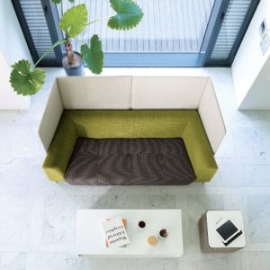 Luxdezine Green Brown White Sofa White Box Table
