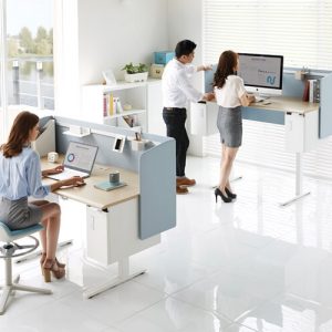 Luxdezine Modern White Height Adjustable Work Station