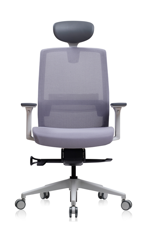 Luxdezine Office Chairs Furniture J17G120L