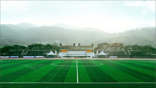 Luxdezine Turf Football Sport Park