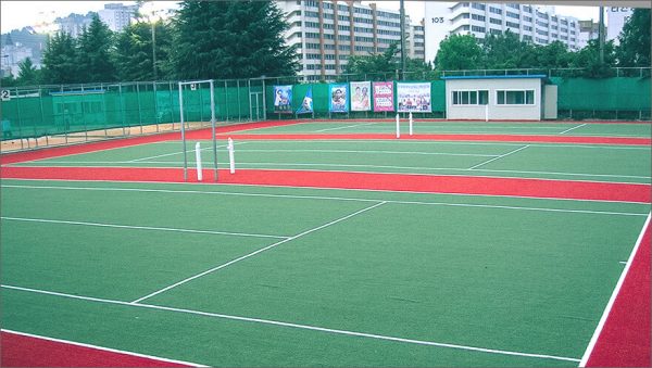 Luxdezine Turf Tennis Court
