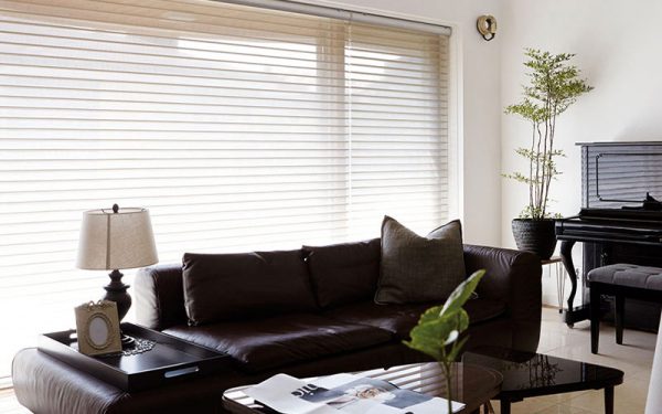 Luxdezine Window Blinds 3D Shade Privacy Living Interior Design