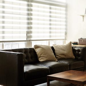 Luxdezine Window Blinds Combi Shades Black Living Room Bright