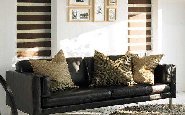 Luxdezine Window Blinds Combi Shades Living Room Far Sofa Pillow