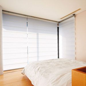 Luxdezine Window Blinds Combi Shades White Bright Zoom Out