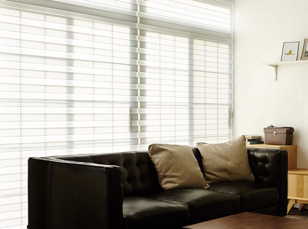 Luxdezine Window Blinds Combi Shades White Living Room