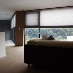 Luxdezine Window Blinds Honeycomb Blackout Interior