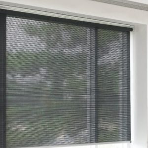 Luxdezine Window Blinds Roll Screen Eco 1