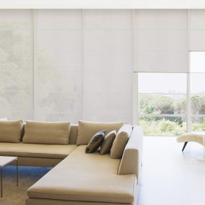 Luxdezine Window Blinds Roll Screen Shades Living Room White Feature