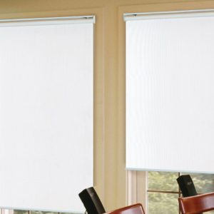 Luxdezine Window Blinds Roll Screen Single Black Out