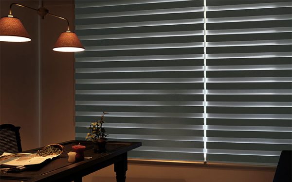Luxdezine Window Blinds Combi Shades Bedroom Black Far