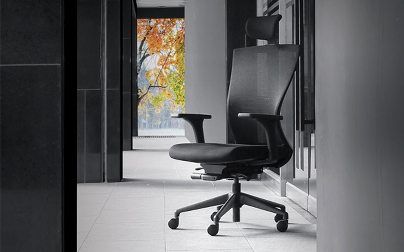 Office Chairs NETTIS PLUS series